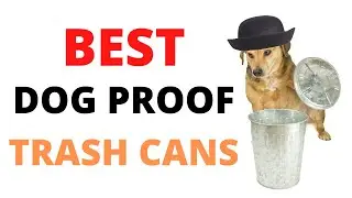 3 Best dog proof trash can for Kitchen, bathroom, and indoors