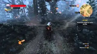 The Witcher 3: Auto-Active Skill