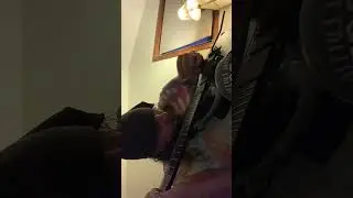 @tiktok live #aussie #guitar #aussierock #viral 