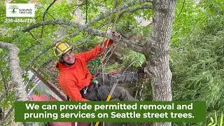 Tree Care Services in Seattle by Sound Tree Care LLC