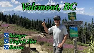 Is Valemont, BC better than Squamish? - Stinger, Tinfoil Hat & Bacon