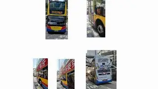 (😍🤪😄👍❤️靚聲黃鐵甲天水圍遠征銅鑼灣) CTB 8295 (RU2905) 969 大欖隧道巴士轉乘站→西區海底隧道巴士轉乘站,圓方,環球貿易廣場,M+博物館,香港故宫文化博物館,西九文化區九龍站