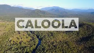 Rainforest Trust&rsquo;s Largest Private Land Purchase Creates Conservation Corridor in Australia