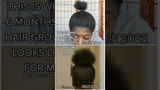 6 Months of Hair Growth Progress & Length Retention Check #4c #4chair