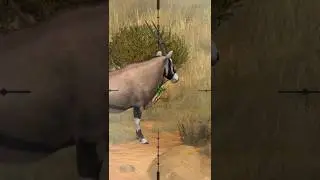Gems bok Hunting #hunter #hunts