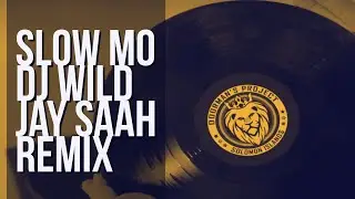 Slow Mo | DMP (DJ Wild Jay Saah Remix)