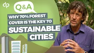 Why 70% Forest Cover Is Key to Sustainable Cities