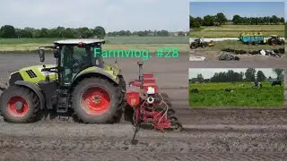 Farmvlog: #28 der erste Schnitt / der letzte Mais/ Kühe in die Freiheit
