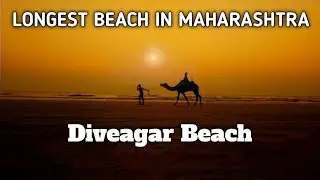 Longest Beach in Maharashtra | Things To Do In Diveagar | Fish Market 🐬| Sea Food 🦀🦐 & Stay.