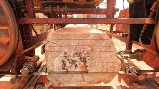 Cutting Massive Cedar Slabs