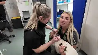 A Day In The Life Of A Vet: Cardiff Dogs Home Arrive With Two Adorable Dogs.
