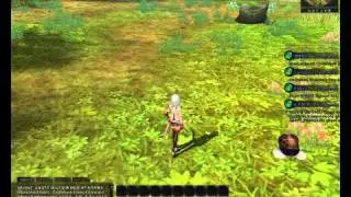 ragnarok online 2 skillbar