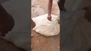 Fish Catching