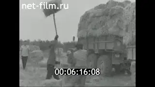 1976г. совхоз Котлубань Городищенский район Волгоградская обл