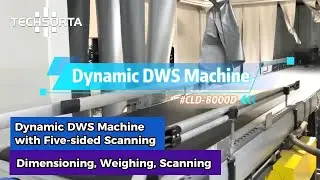 Meet the Techsorta Dynamic DWS System &mdash; Dimension &bull; Weigh &bull; Scan &mdash; All in One Smart Solution | AU