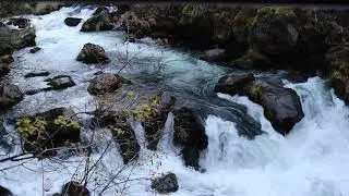 Ambient Oregon Rushing River Views