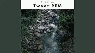Karma Island Tune