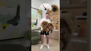 Dog Weight 🐶 #mrbeast #shorts #viral #trending