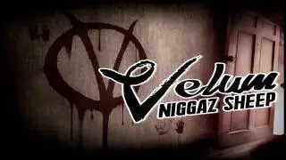 13. Velum - Versos Eternos