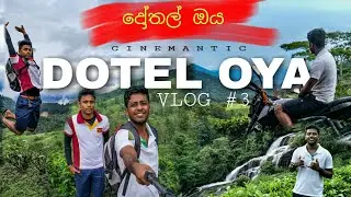 Dothal oya travel | දෝතල් ඔය | Dotel oya tea state | M Vlog