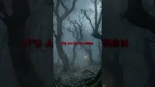 Never Whistle at Night... Here is Why