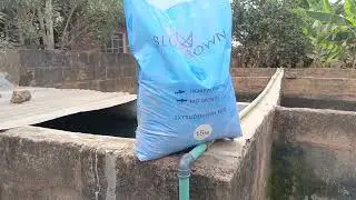 Advantages of Sorting in catfish farming 
