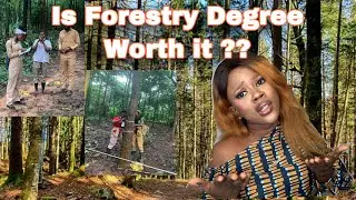 Is FORESTRY DEGREE Worth it? What you need to know about Forestry Degree