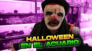Vendemos Peces en el Mercado de la Morelos Disfrazados !!