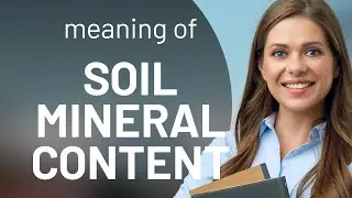 Understanding Soil Mineral Content: A Key to Healthy Plants