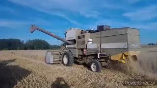 naše retro žně pšenice 2022/ e514+Zetor 9540/reálné farmaření 19