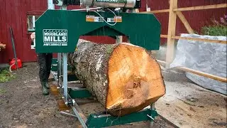 Milling a Giant Spruce on my Sawmill