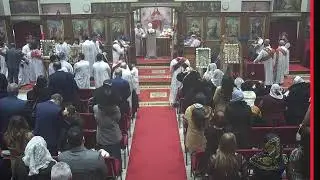 Queen Saint Mary & Prince Tadros [QSMPT] Live Stream