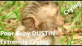 Terrifying ! Baby DUSTIN Extremely Crying, Baby DUSTIN Loud Crying cos Hungry milk