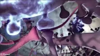 Transmission synaptique