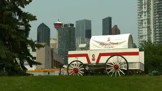Campaign Politics - Calgary Skyview