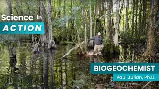 How Nutrient Pollution Threatens the Everglades &ndash; And Why It Matters for Floridians