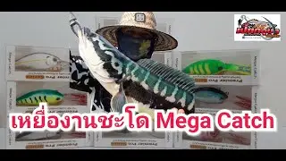 เหยื่อชะโด ต้อง Mega Catch Lure