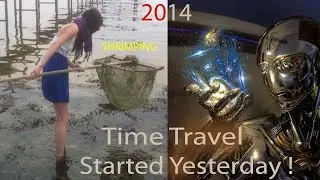 Shrimp Fishing in the Sea | Denmark Travel Experience | Lisa&rsquo;s Adventure From 2014