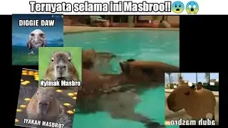 Idantitas Masbro yang sesungguhnya!!😨😱😱
