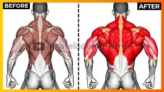 COMPLETE BACK AND TRICEPS WORKOUT FOR MUSCLE MASS GAIN | MASSIVE LATS AND ARMS