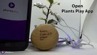 How get started with your Plants Play