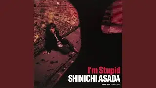 I'm Stupid