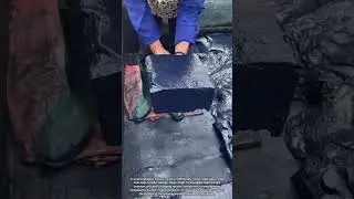 Removing Heavy Black Molds in Industrial Production