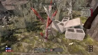 The survivening
