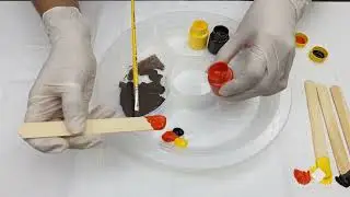 [Sombrancelhas] Colorometria Aplicada a Micropigmenta&ccedil;&atilde;o - J&eacute;ssica Soares