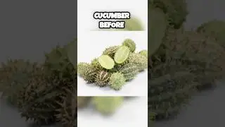 How fruits and vegetables looked before human changed them 😳 #shorts #shortsfeed #shortvideo
