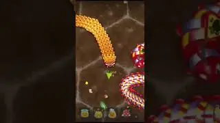 Little Big snake