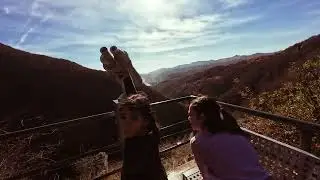 POENARI CASTLE 2025