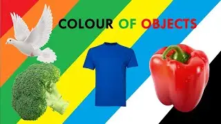 Learn colors | Typical things of each color | English Vocabulary|Objects|kindergarten|Nursery Rhymes