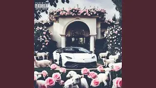 .Lions.x.lambs.